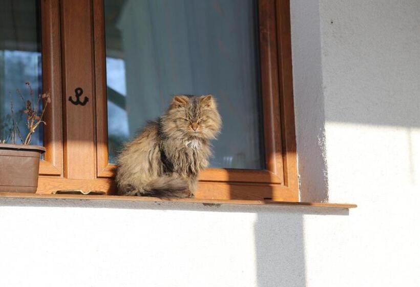 带1个卧室的公寓, Kurnik Polski Agroturystyka