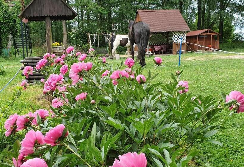 带1个卧室的豪华别墅, Kurnik Polski Agroturystyka