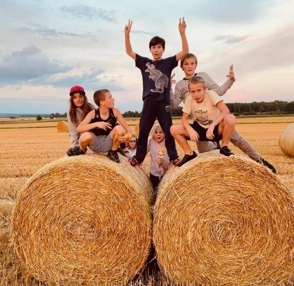 带1个卧室的豪华别墅, Kurnik Polski Agroturystyka