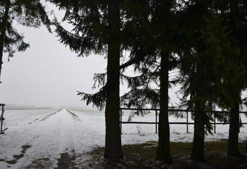 带1个卧室的公寓, Kurnik Polski Agroturystyka