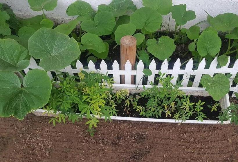 带1个卧室的公寓, Kurnik Polski Agroturystyka