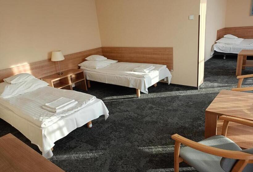 Номер Стандарт Трехместный, Olimpijski