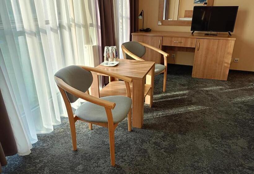 Номер Стандарт Трехместный, Olimpijski