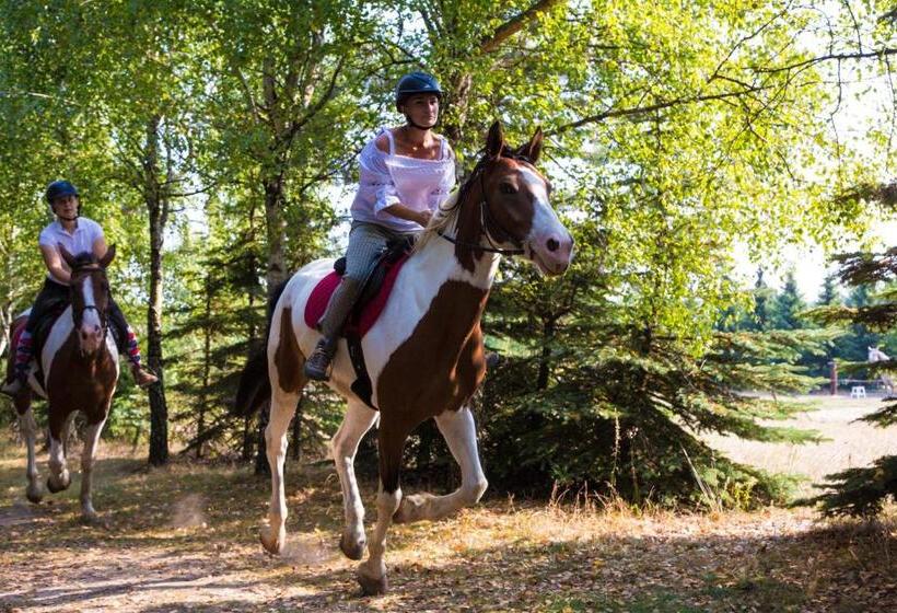 סטודיו סטנדרטי נוף לגינה, Sokole Ranczo