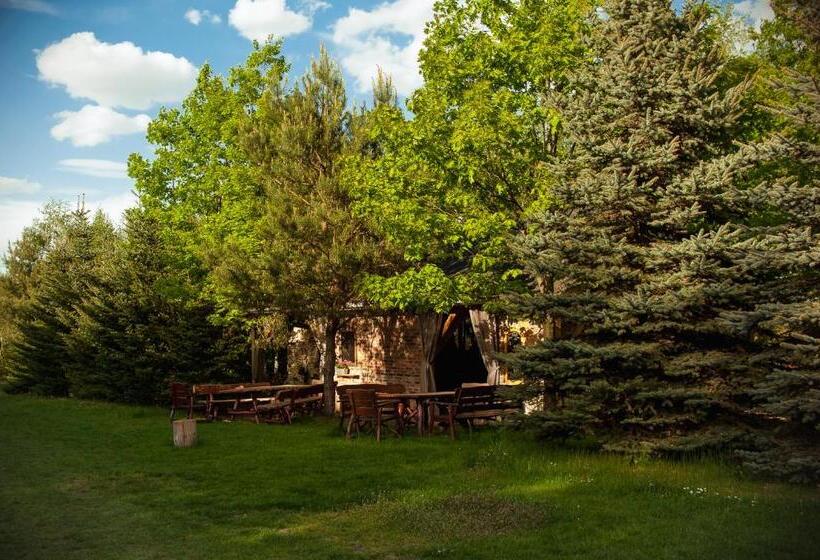 חדר סטנדרט, Sokole Ranczo