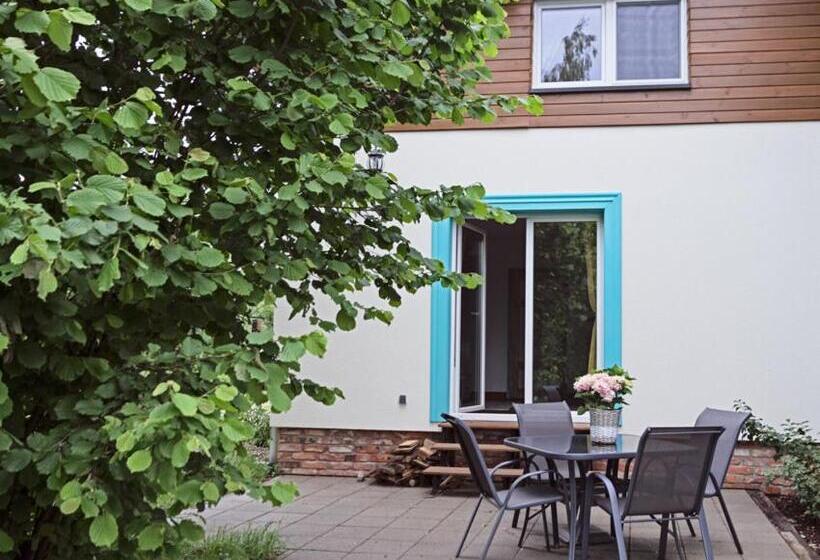 סטודיו סטנדרט עם מרפסת, Sokole Ranczo