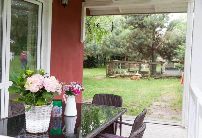 בקתת חדר, Sokole Ranczo