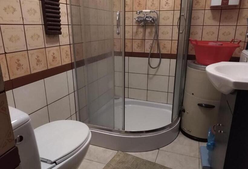 בקתת חדר, Zagroda Zalipie