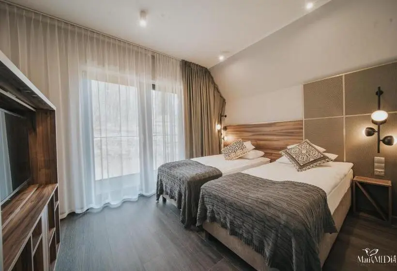 ビュー有りのスタンダードワンルーム, Lake Hill Karkonosze Apartments