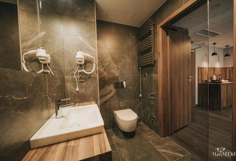 דירה בת חדר שינה 1 עם נוף, Lake Hill Karkonosze Apartments