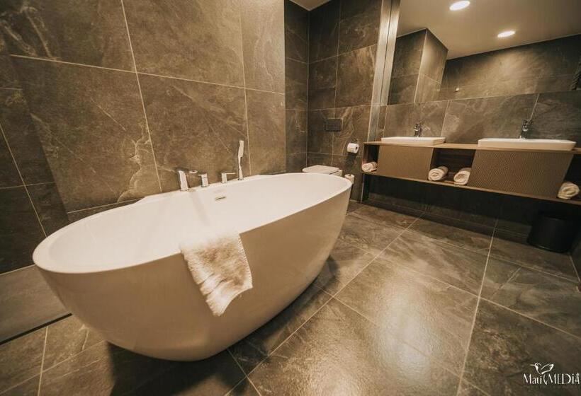 Апартаменты Superior 1 Спальня, Lake Hill Karkonosze Apartments