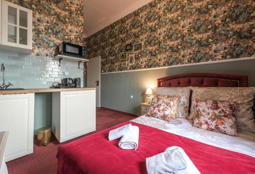 חדר סטודיו סטנדרד, Night O Clock Business Aparts