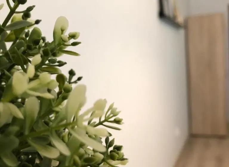 バルコニー付きスタンダードルーム, Kwadrat Apartamenty Grottgera