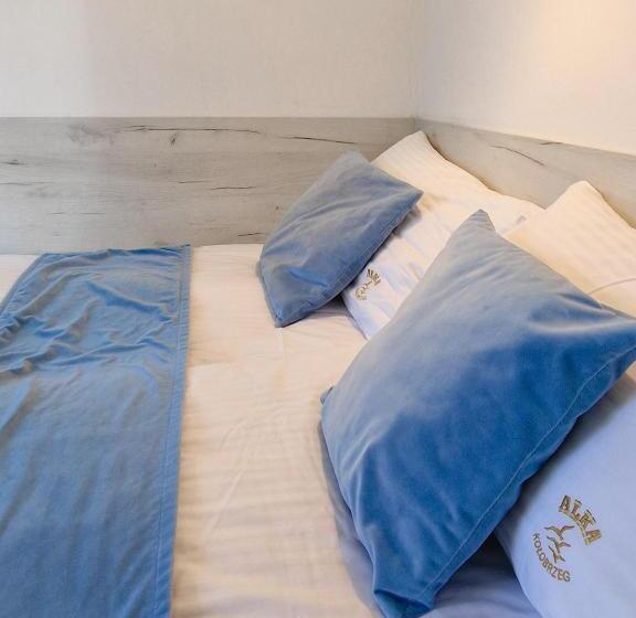 חדר סטנדרט עם מרפסת, Pensjonat Alka