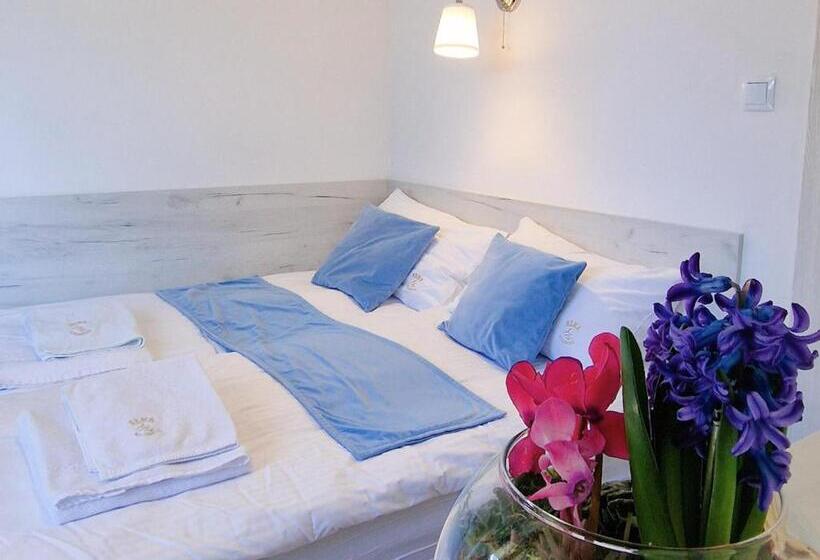 חדר סטנדרט עם מרפסת, Pensjonat Alka