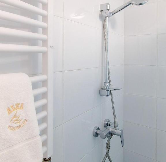 חדר יחיד בסיסי, Pensjonat Alka