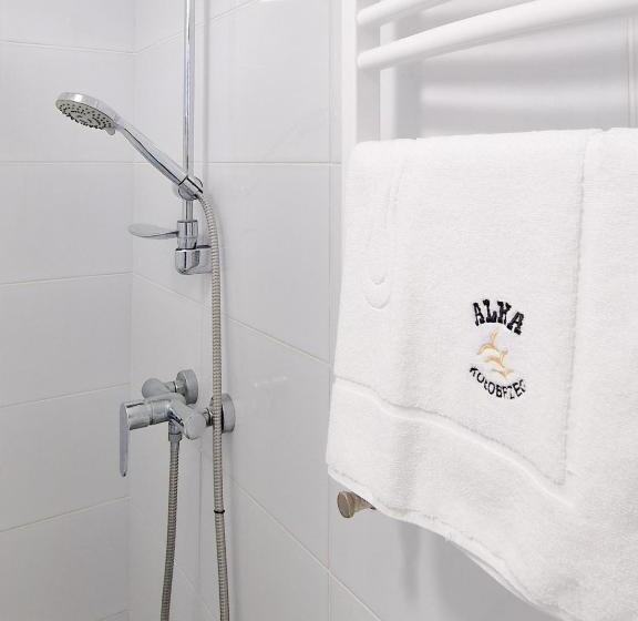 חדר אקונומי, Pensjonat Alka