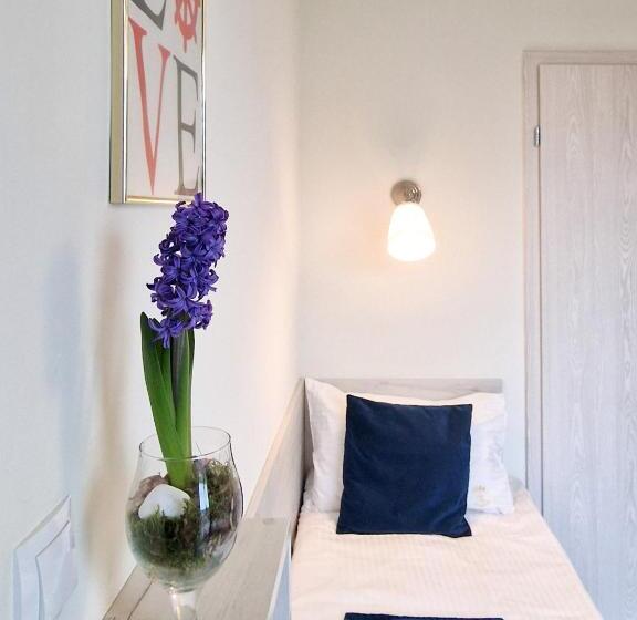 חדר אקונומי, Pensjonat Alka