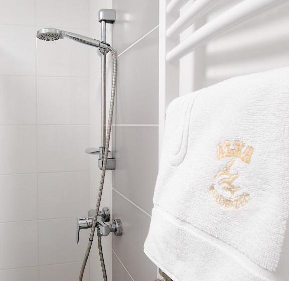 חדר סטנדרט נוף לגינה, Pensjonat Alka