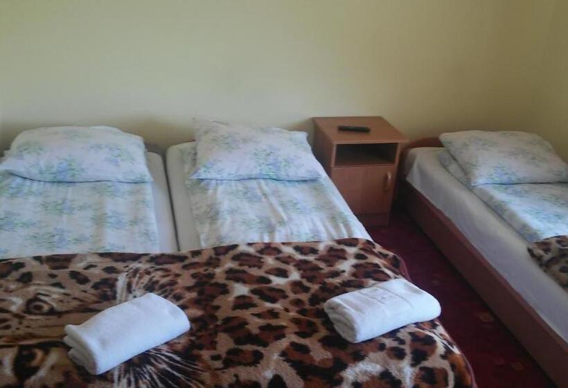 استودیوی استاندارد, Małgosia   10 Minut Na Piechotę Do Stoku Narciarskiego I Basenów Termalnych Bania