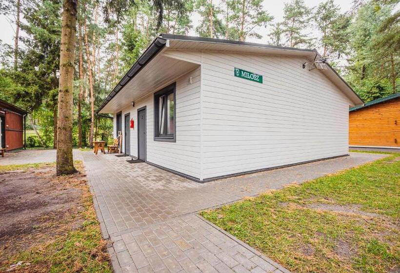 غرفة قياسية رباعية, Ośrodek Wypoczynkowy Julia W Samociążku