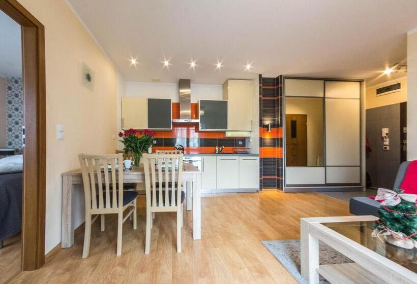 Апартаменты 1 Спальня, Apartamenty Izerskie  Ul. Cicha 13de