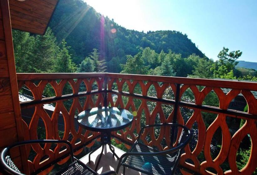 Студио Стандарт с Балконом, Apartamenty Magia Gór