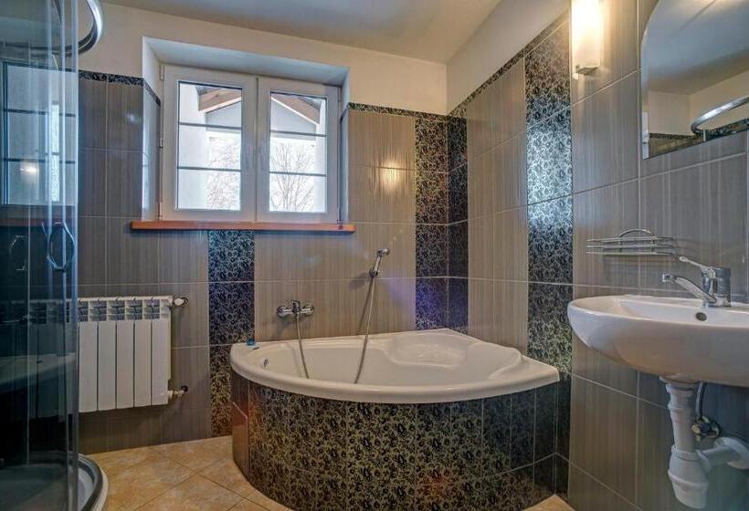 带大床的标准工作室, Noclegi Dwór Szlachecki Biedaczów