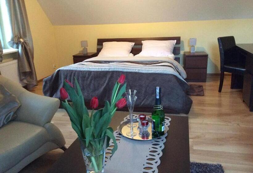 اتاق لوکس با بالکن, Willa Pod Starą Skocznią