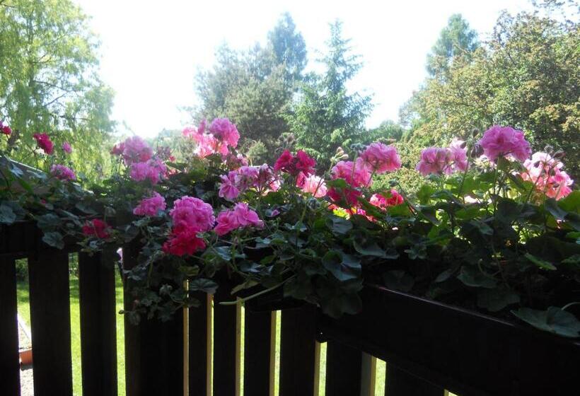 스탠다드 스튜디오, Dwór W Boleniu