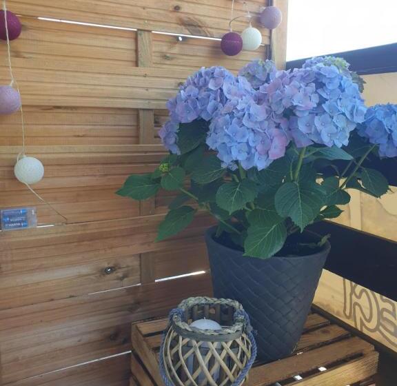 Номер Стандарт Трехместный, Familiówka