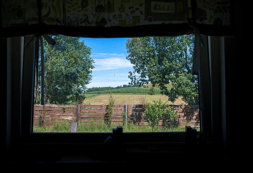 スタンダード4人部屋, Stajnia Zamczysk