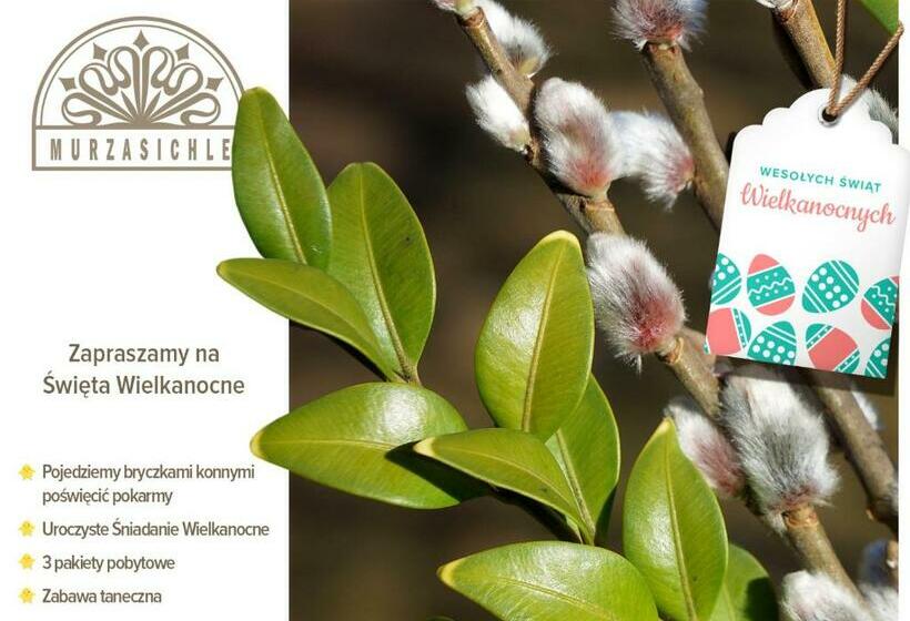 标准间, Dw Murzasichle