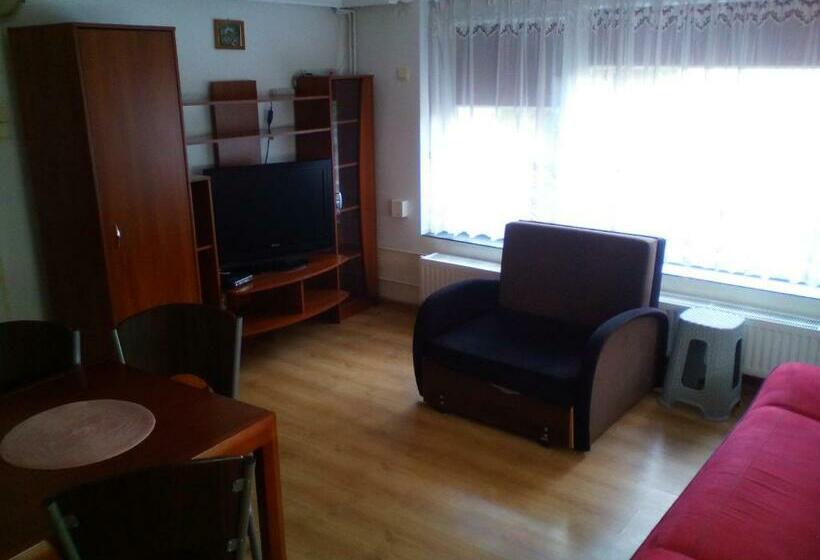 استودیوی استاندارد, Noclegi Przy Szpitalu