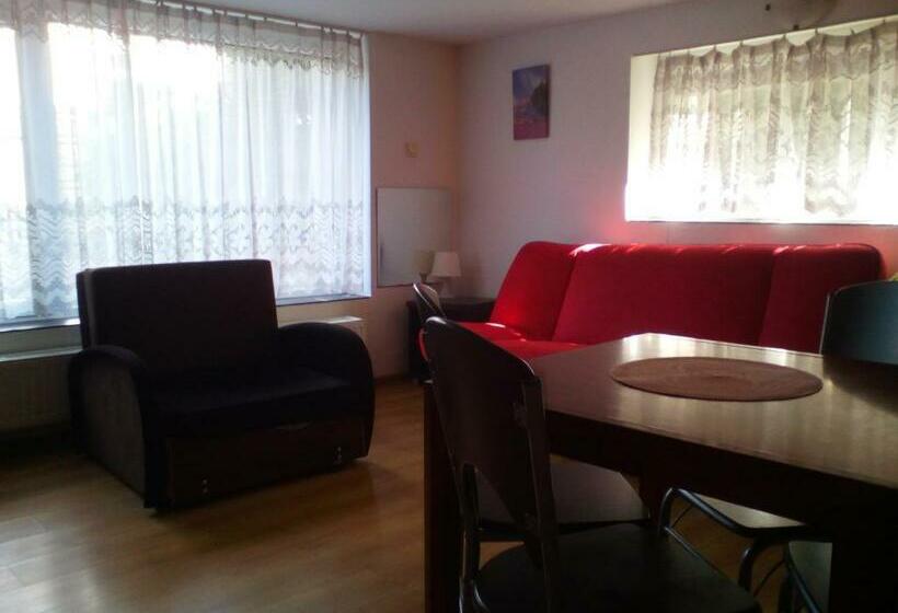 استودیوی استاندارد, Noclegi Przy Szpitalu