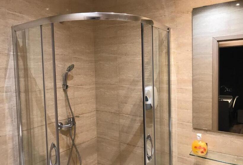 اتاق سوپریور با چشم‌انداز شهر, U Romana