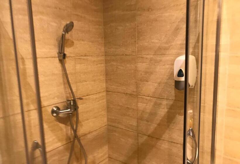 اتاق سوپریور با چشم‌انداز شهر, U Romana