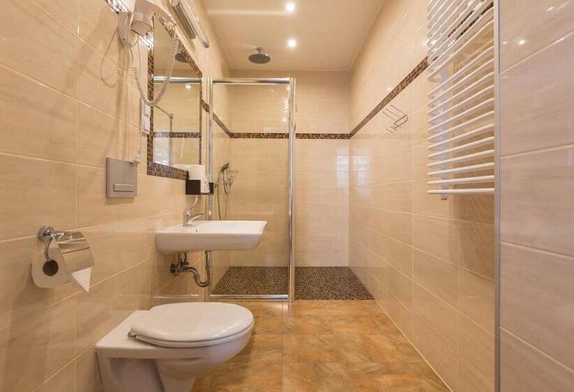 컴포트 트리플 룸, Leśny Dwór