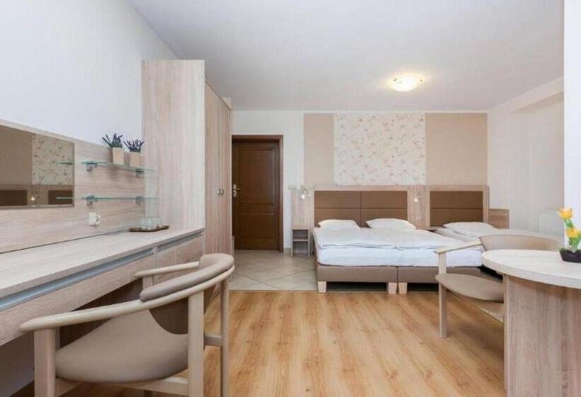 חדר סטנדרט, Paula Wellness & Spa