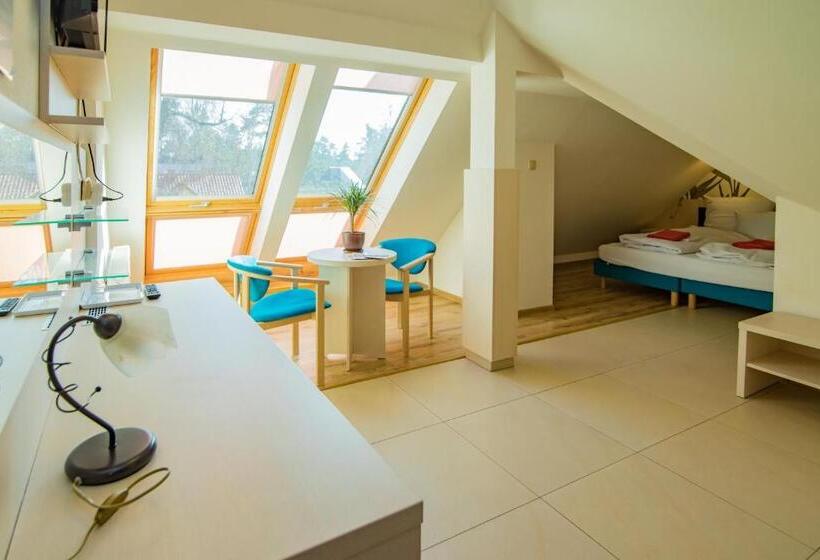 חדר סטנדרט, Paula Wellness & Spa