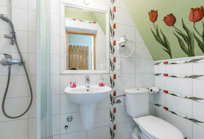 Habitació Estàndard, Willa Cetynka