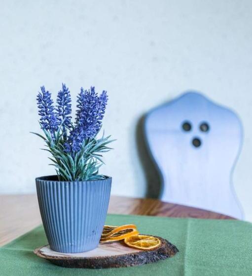 Habitació Estàndard, Willa Cetynka