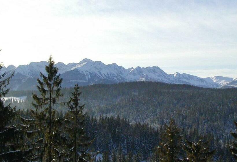 إستوديو قياسى, Willa Litka