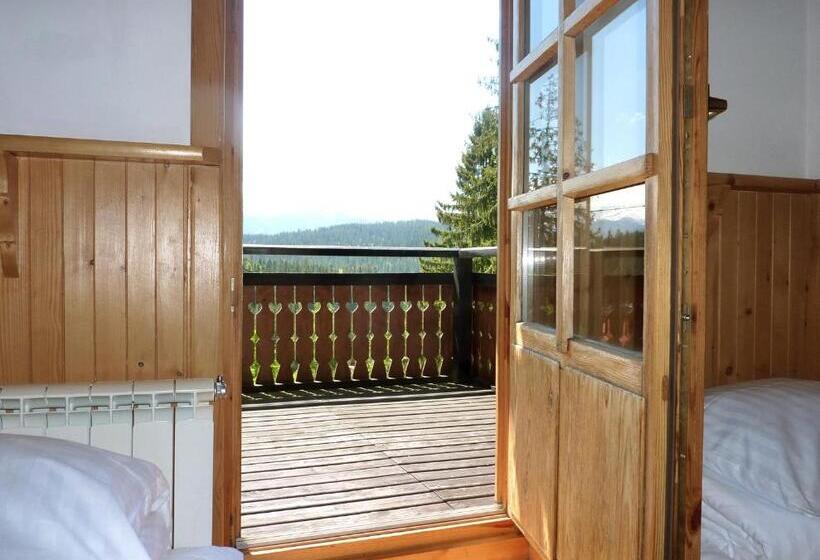 غرفة قياسية مطلة على الجبل, Willa Litka