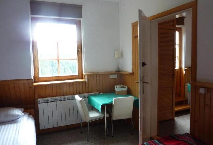 إستوديو قياسى, Willa Litka