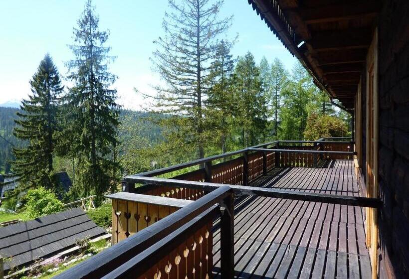 غرفة كومفورت, Willa Litka