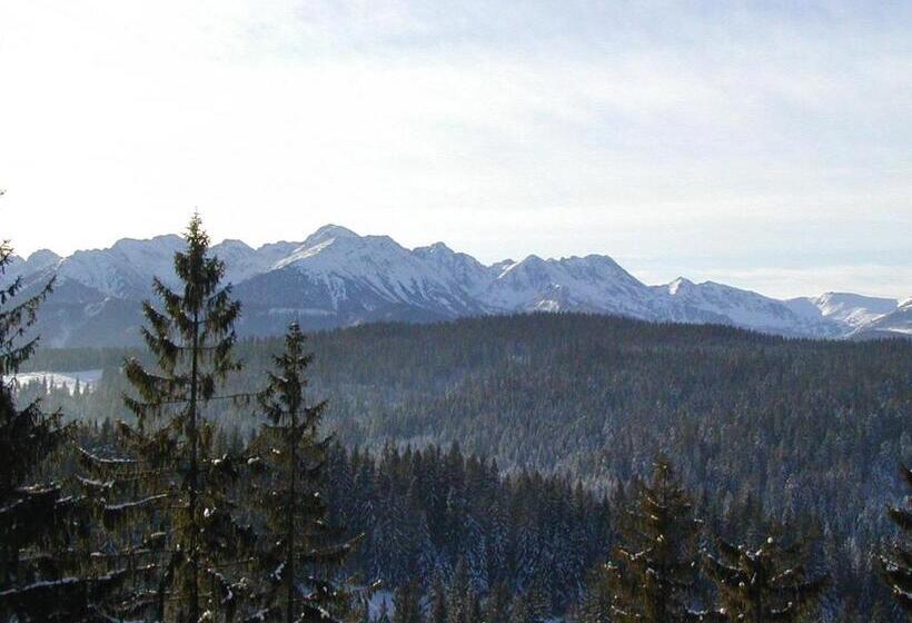 غرفة كومفورت, Willa Litka