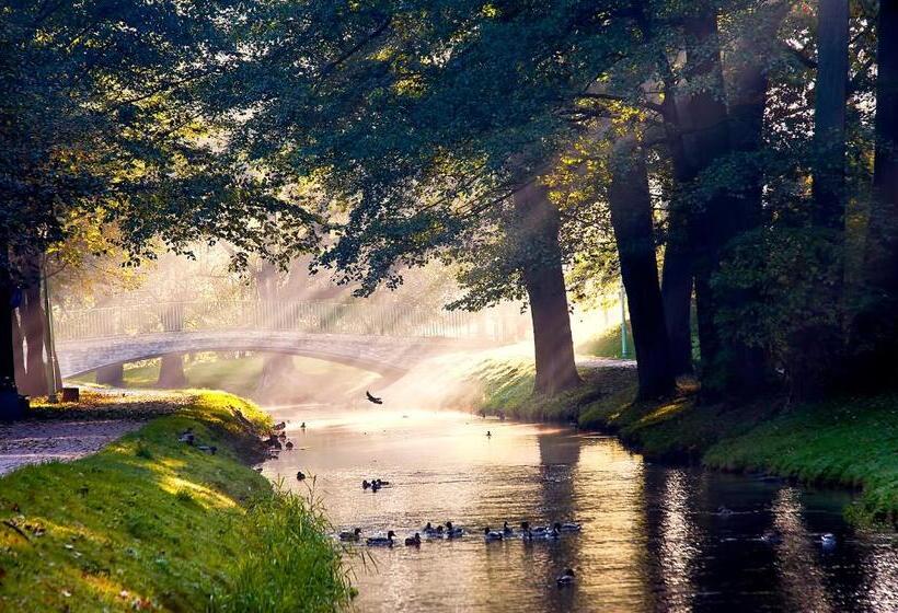 غرفة قياسية, Akvilon