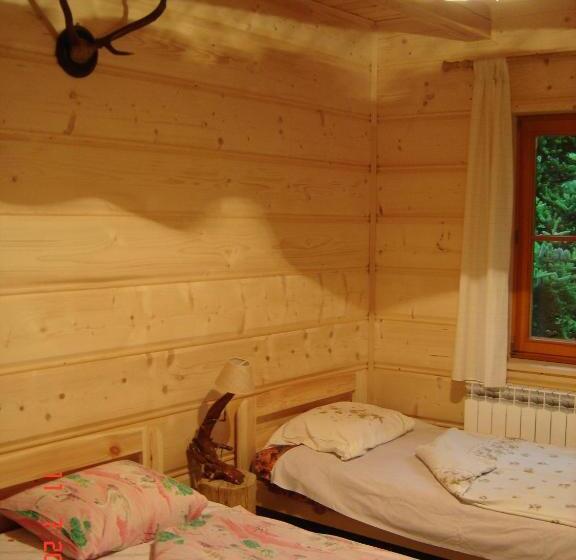 스탠다드 룸, Amigówka