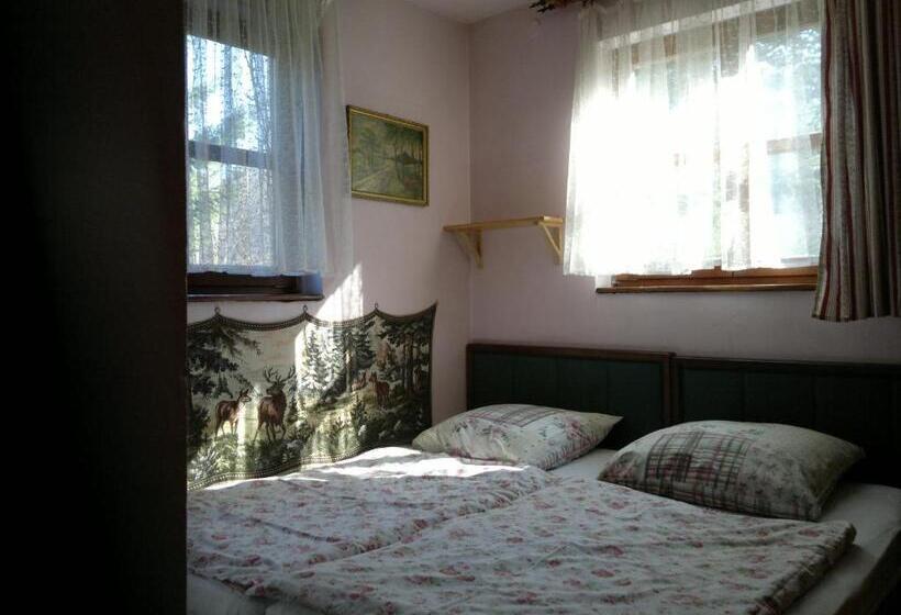 베이직 3인 룸, Amigówka